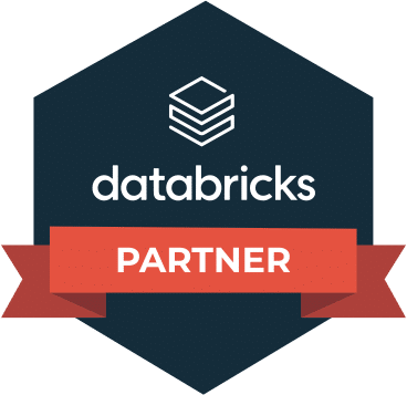 Databricks Partner